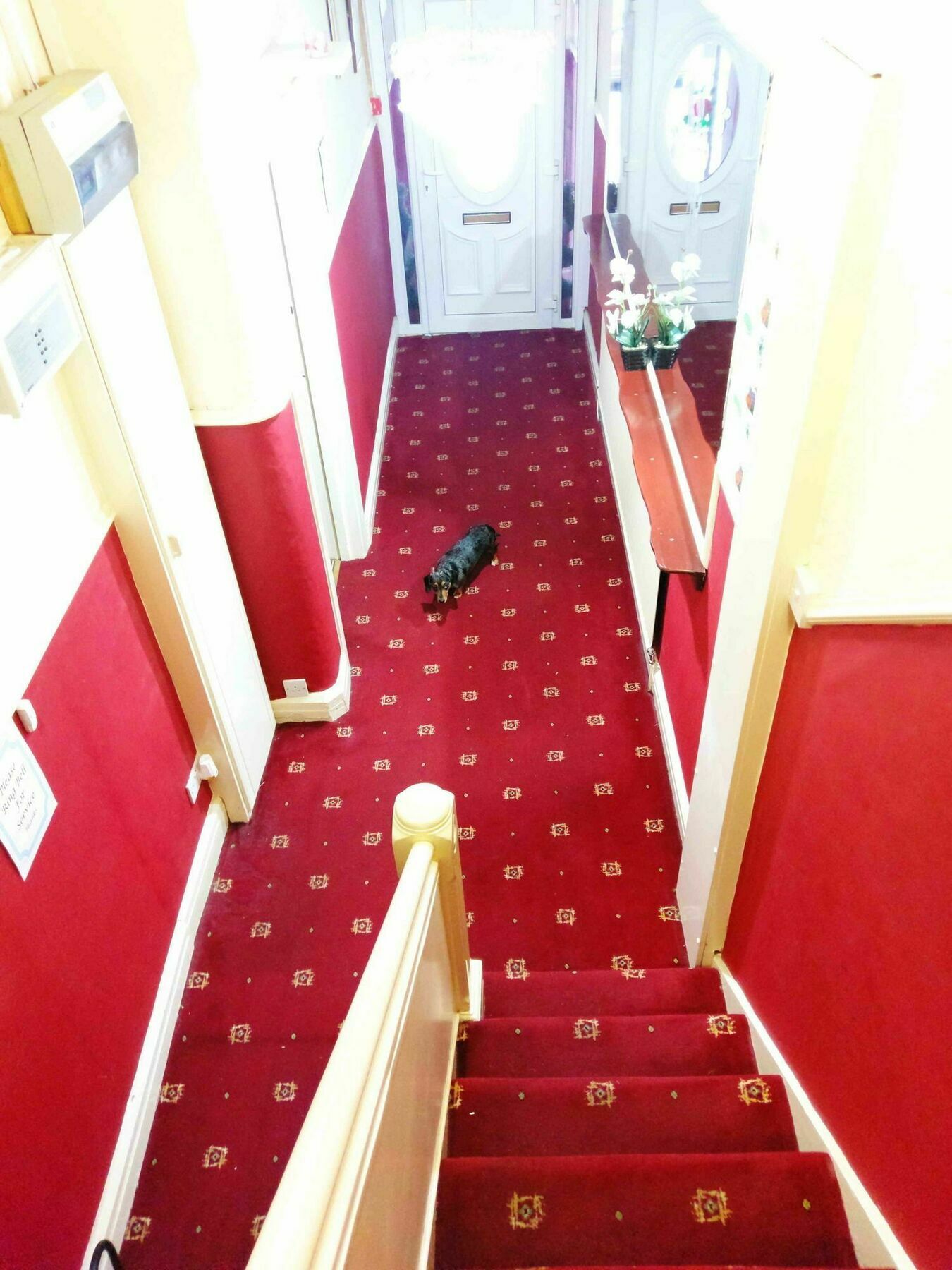 Ringbane House Bed & Breakfast Blackpool Exterior foto